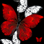 Butterfly / Crimson Rose Collection, The Simply Classic Collection.