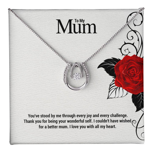 To My Mum... You've stood by me through every joy and every challenge. Thank you for being your wonderful self. I couldn't have wished for a better mom. I love you with all my heart. ShineOn Fulfillment