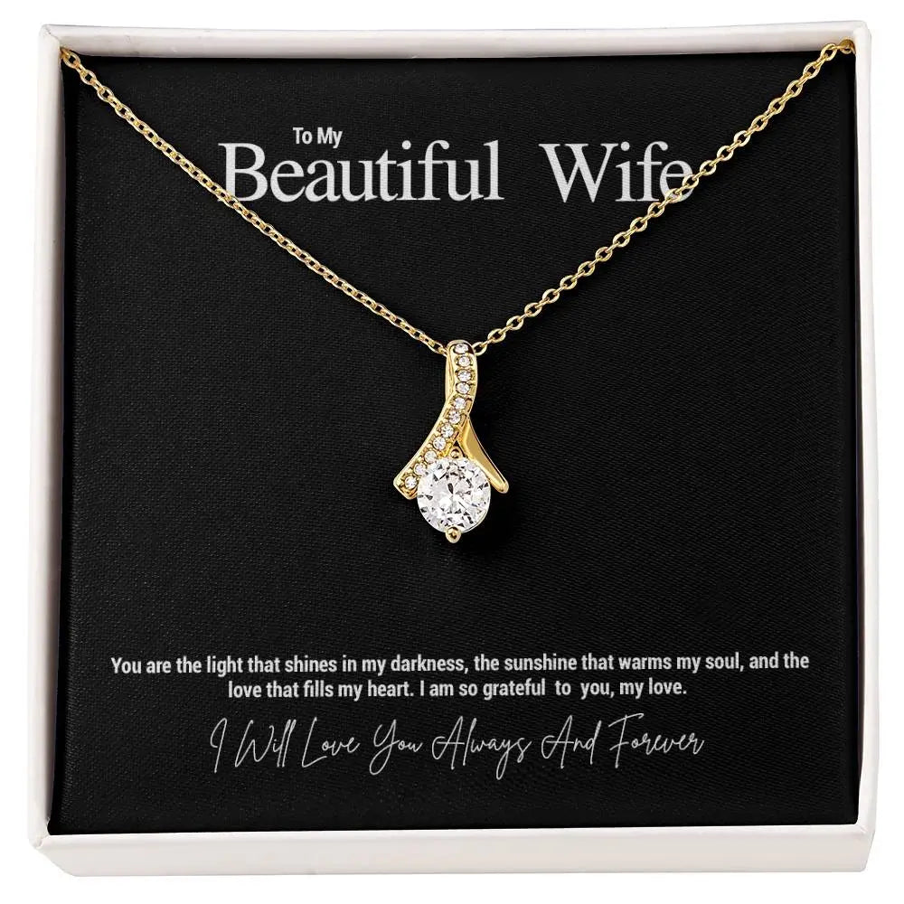 To My Beautiful Wife...You are the light that shines in my darkness, the sunshine that warms my soul, and the love that fills my heart. I am so grateful to you, my love. ShineOn Fulfillment