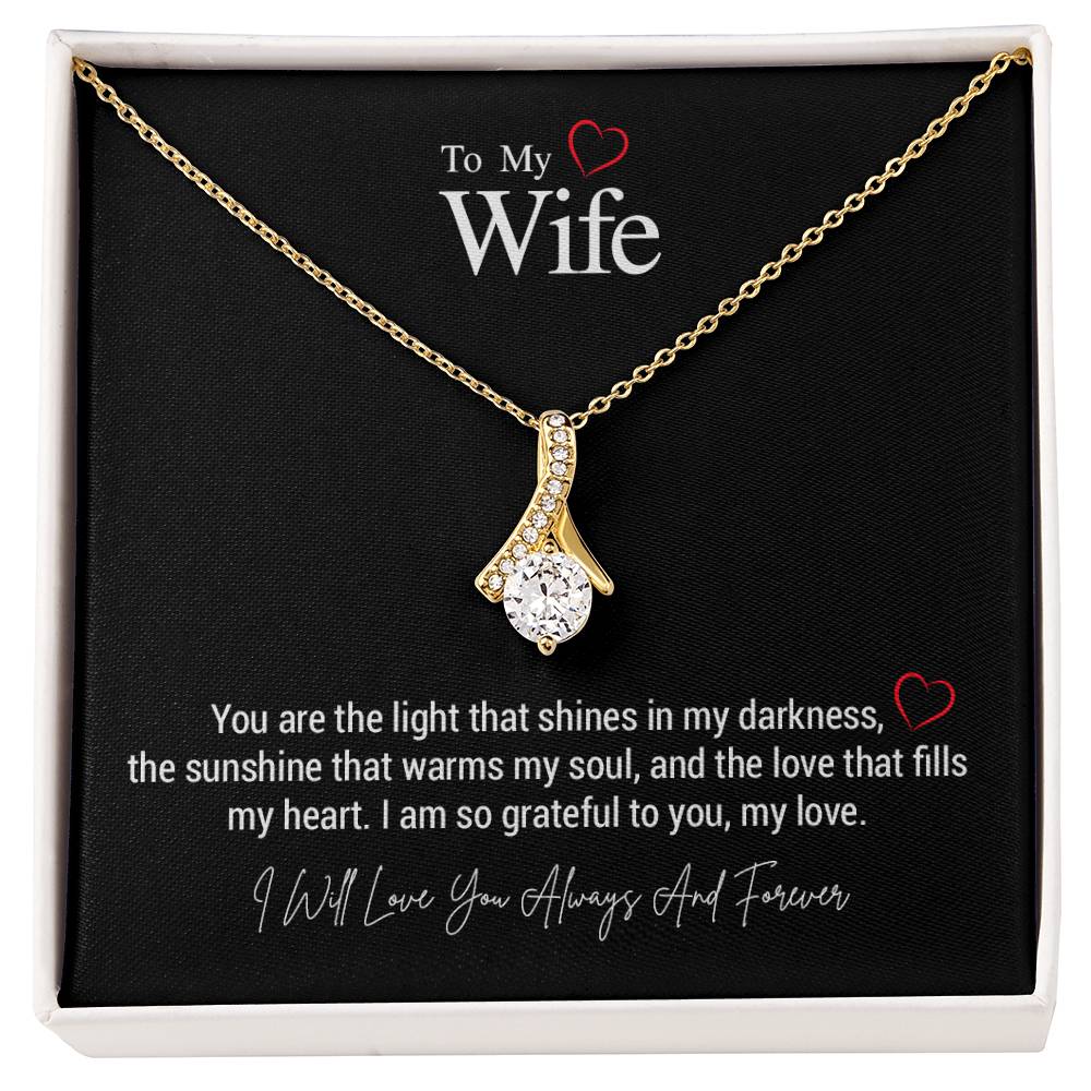 To My Wife..You are the light that shines in my darkness, the sunshine that warms my soul, and the love that fills my heart. I am so grateful to you, my love. ShineOn Fulfillment
