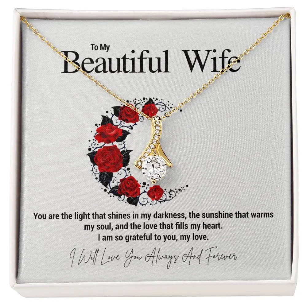 To My Beautiful Wife...You are the light that shines in my darkness, the sunshine that warms my soul, and the love that fills my heart. I am so grateful to you, my love. ShineOn Fulfillment