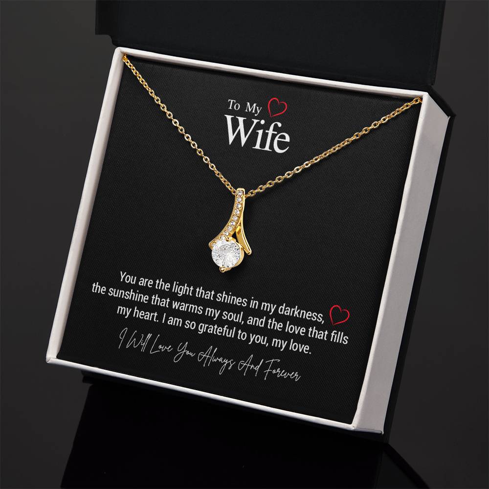 To My Wife..You are the light that shines in my darkness, the sunshine that warms my soul, and the love that fills my heart. I am so grateful to you, my love. ShineOn Fulfillment