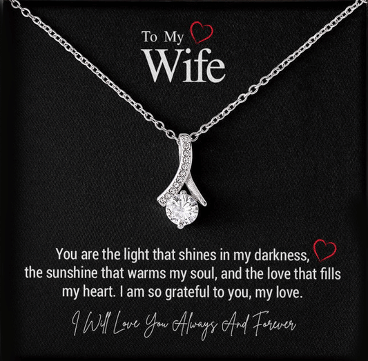 To My Wife..You are the light that shines in my darkness, the sunshine that warms my soul, and the love that fills my heart. I am so grateful to you, my love.