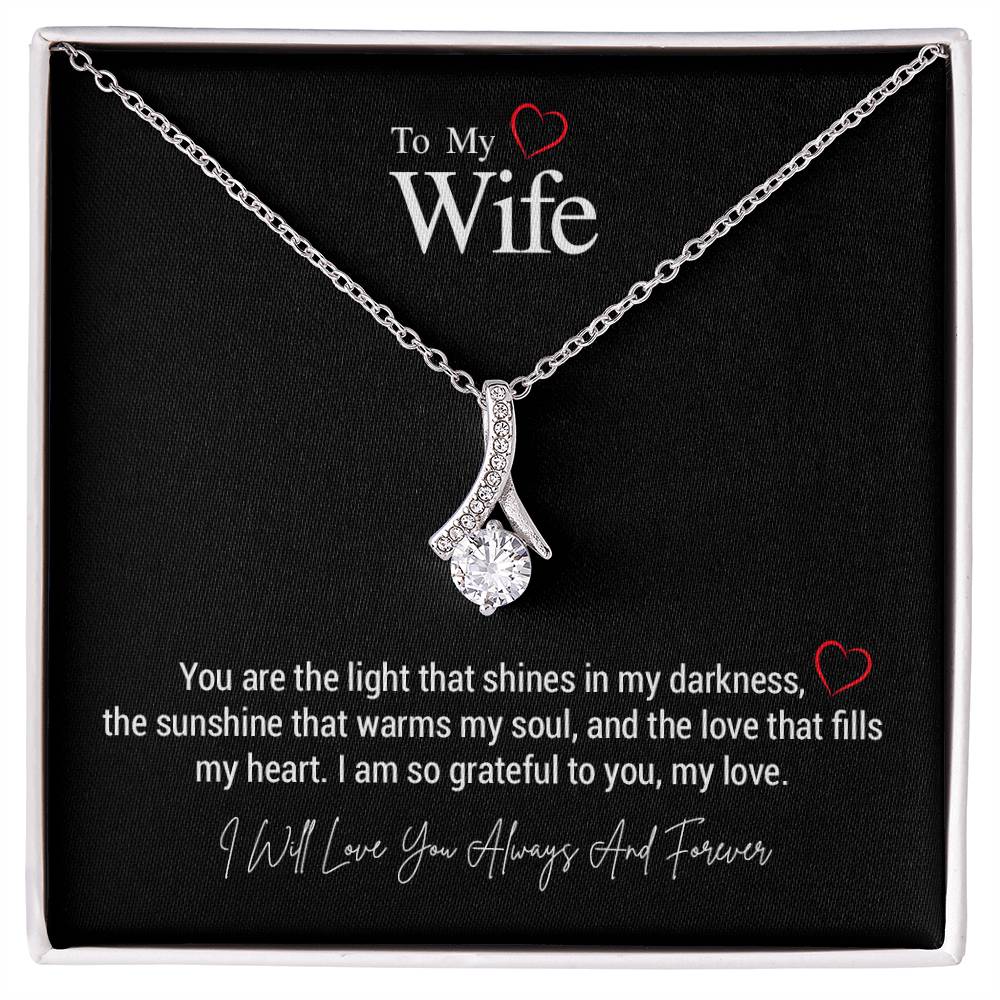 To My Wife..You are the light that shines in my darkness, the sunshine that warms my soul, and the love that fills my heart. I am so grateful to you, my love. ShineOn Fulfillment