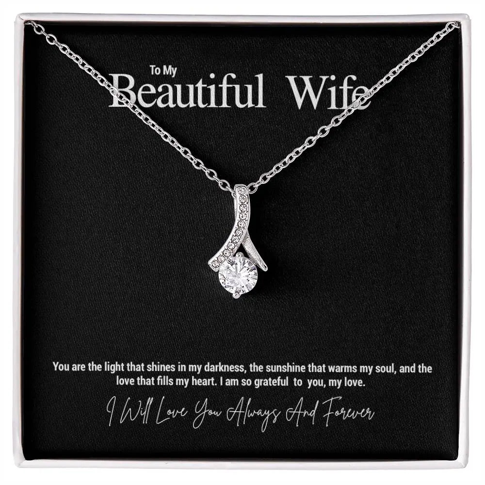 To My Beautiful Wife...You are the light that shines in my darkness, the sunshine that warms my soul, and the love that fills my heart. I am so grateful to you, my love. ShineOn Fulfillment