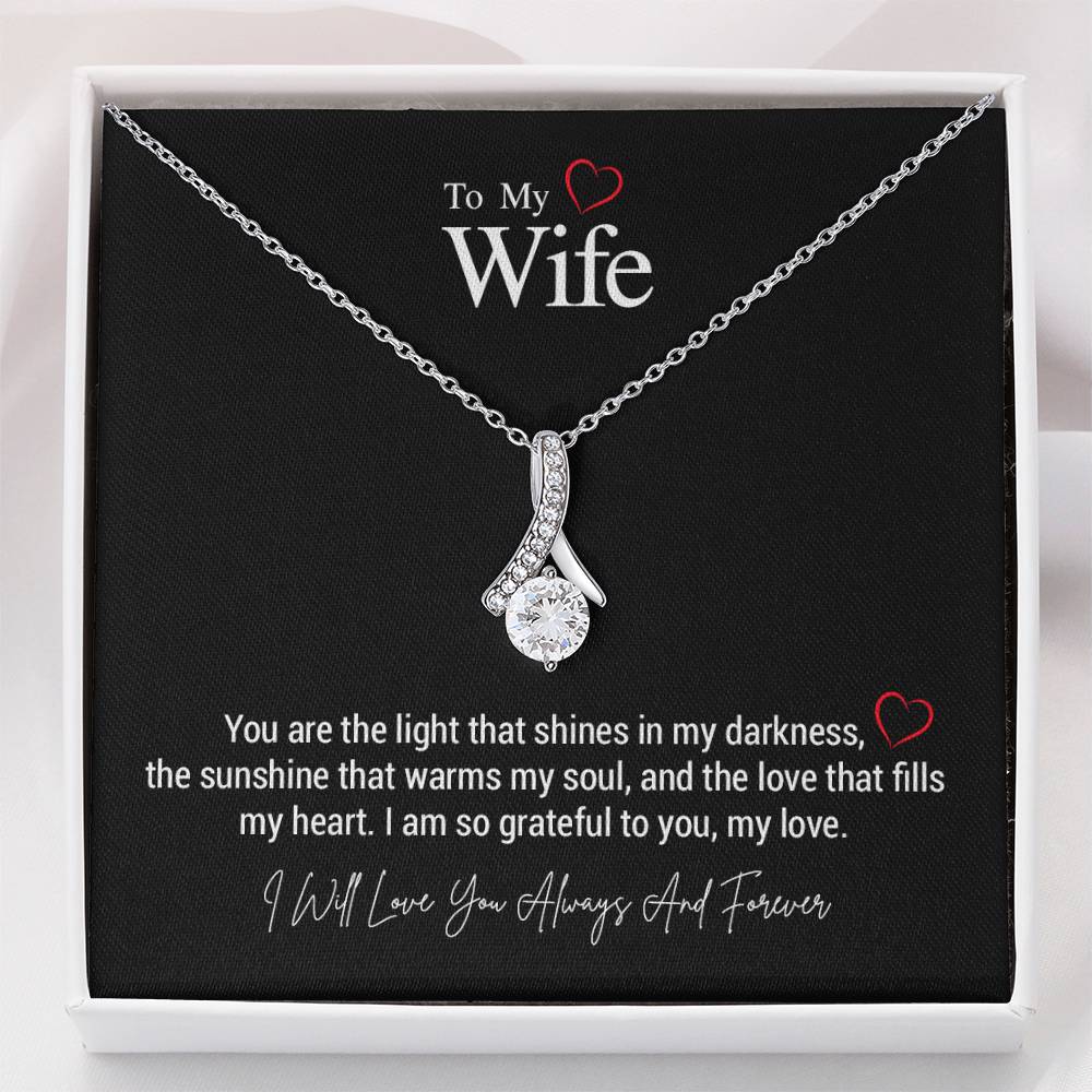 To My Wife..You are the light that shines in my darkness, the sunshine that warms my soul, and the love that fills my heart. I am so grateful to you, my love. ShineOn Fulfillment