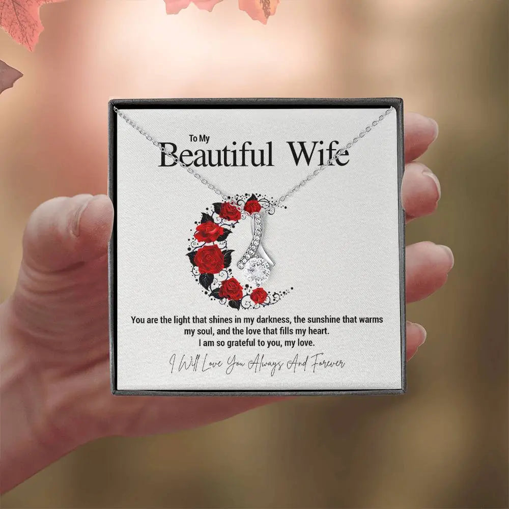 To My Beautiful Wife...You are the light that shines in my darkness, the sunshine that warms my soul, and the love that fills my heart. I am so grateful to you, my love. ShineOn Fulfillment