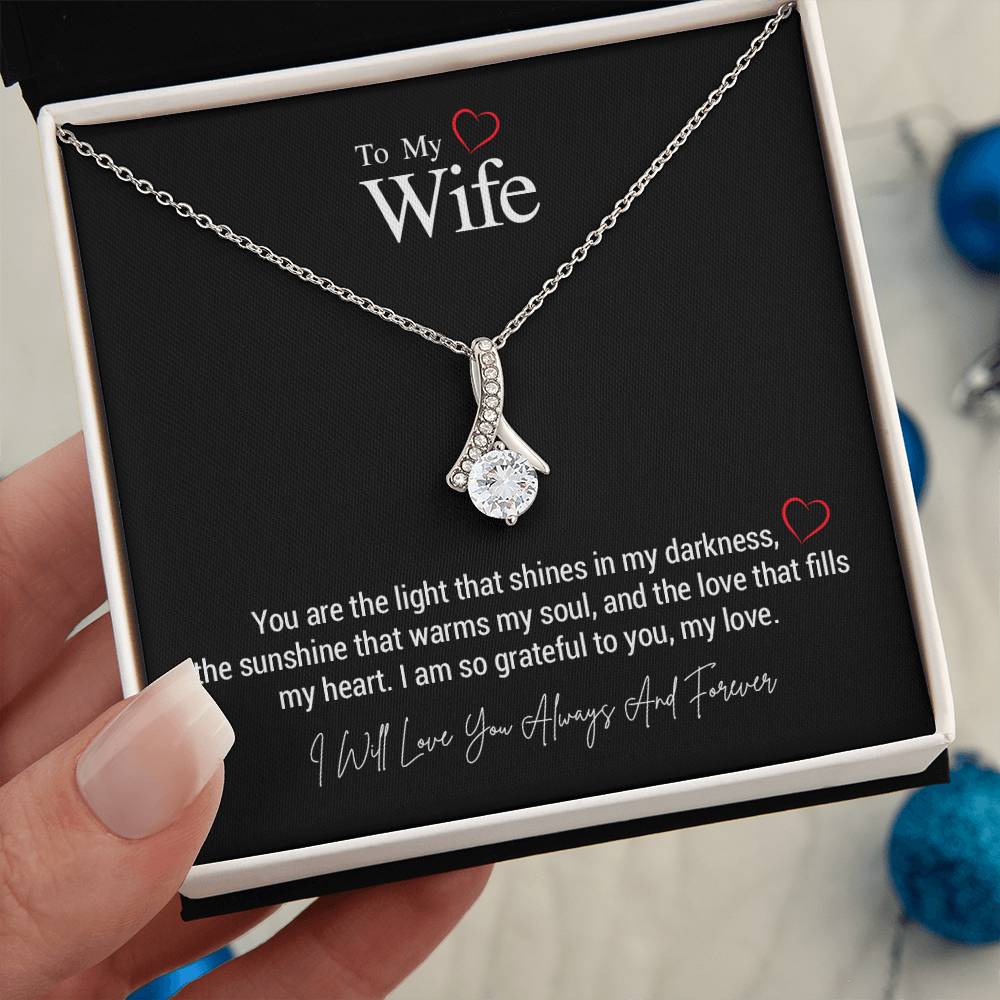 To My Wife..You are the light that shines in my darkness, the sunshine that warms my soul, and the love that fills my heart. I am so grateful to you, my love. ShineOn Fulfillment