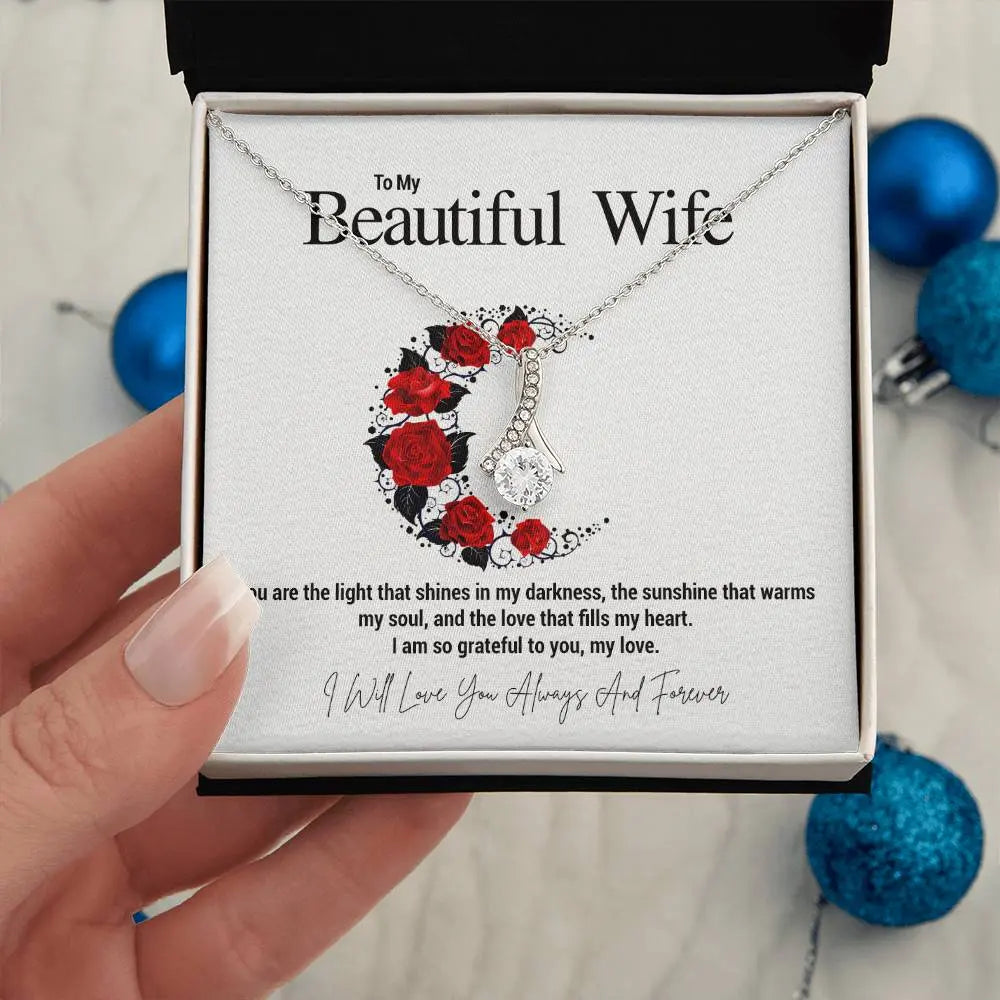 To My Beautiful Wife...You are the light that shines in my darkness, the sunshine that warms my soul, and the love that fills my heart. I am so grateful to you, my love. ShineOn Fulfillment