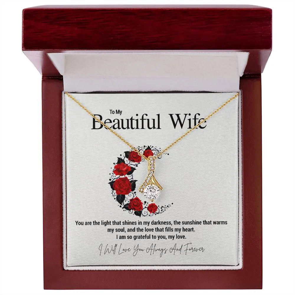 To My Beautiful Wife...You are the light that shines in my darkness, the sunshine that warms my soul, and the love that fills my heart. I am so grateful to you, my love. ShineOn Fulfillment