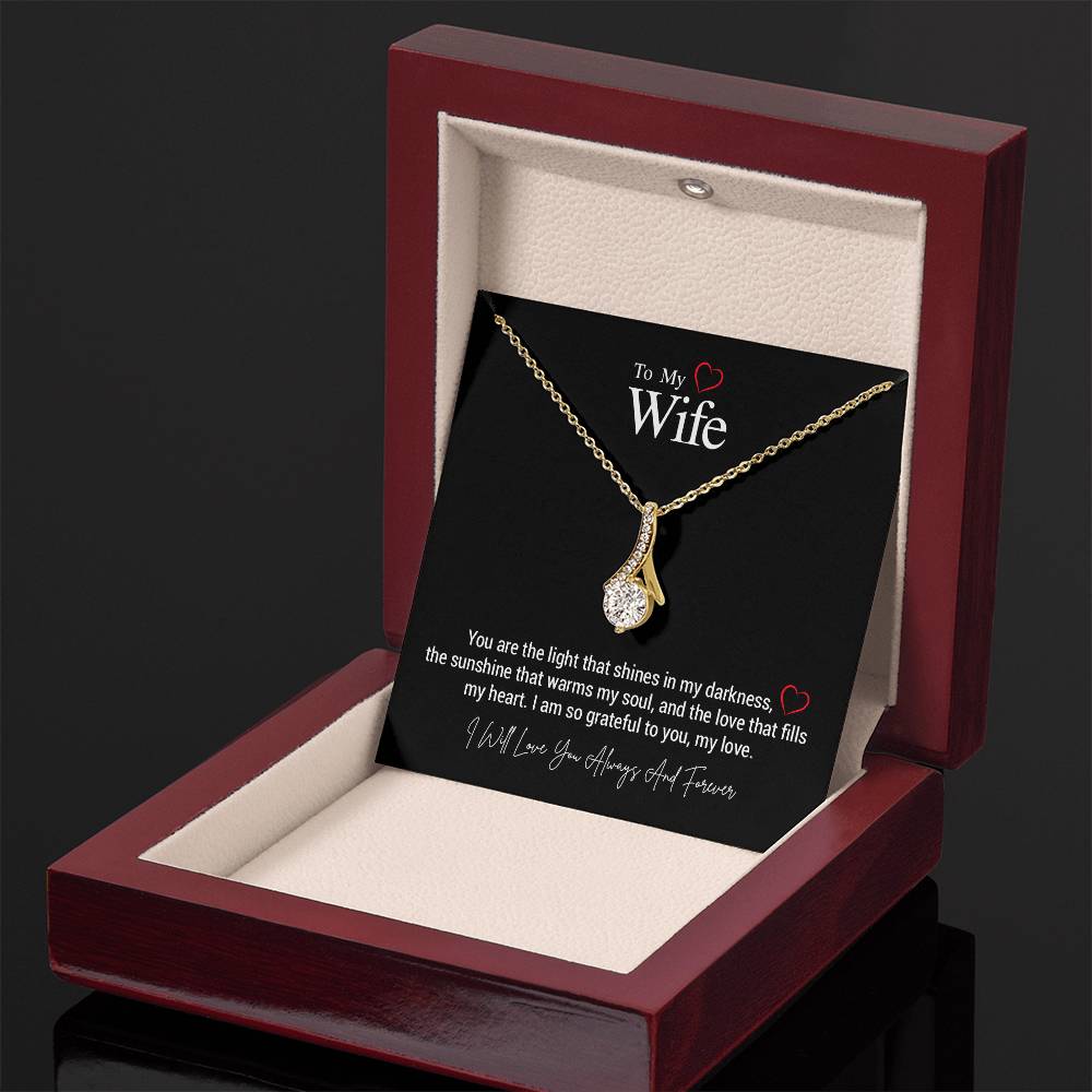 To My Wife..You are the light that shines in my darkness, the sunshine that warms my soul, and the love that fills my heart. I am so grateful to you, my love. ShineOn Fulfillment