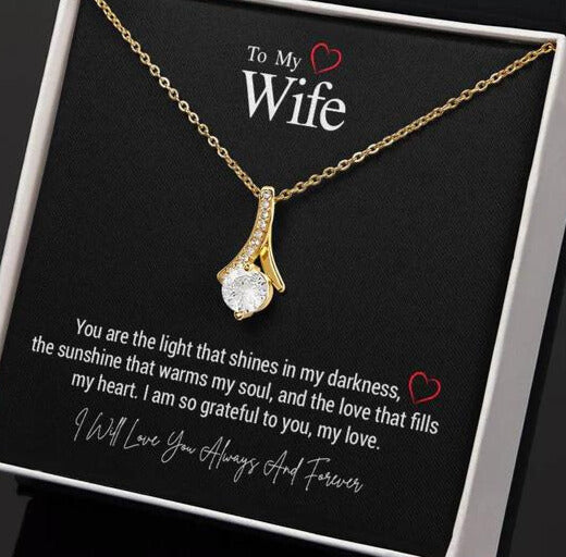 To My Wife..You are the light that shines in my darkness, the sunshine that warms my soul, and the love that fills my heart. I am so grateful to you, my love. ShineOn Fulfillment